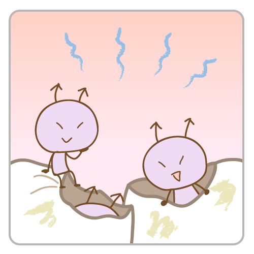 虫歯が進行するイメージ